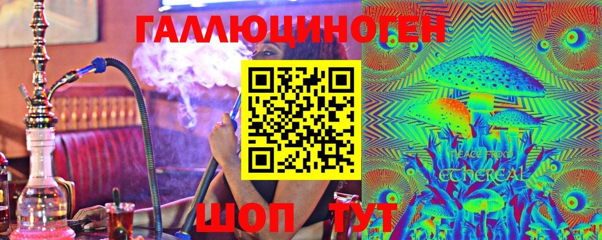 Псилоцибиновые грибы Psilocybine cubensis Михайловск