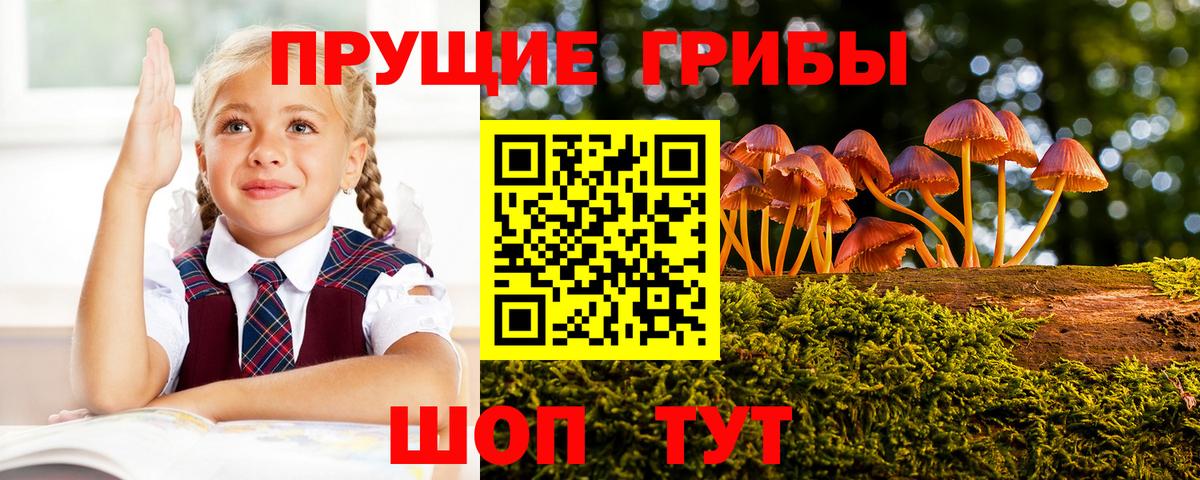 Галлюциногенные грибы прущие грибы  Псилоцибиновые грибы GOLDEN TEACHER  Вход с VPN  как найти   Михайловск 